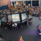 2015.05.09. Profi MMA Gála fotók:árpika