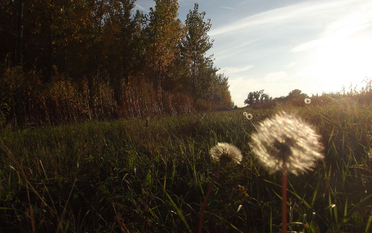 Ezért fogunk fázni hétvégén