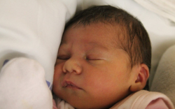 Kulcsár Apolka Anna 