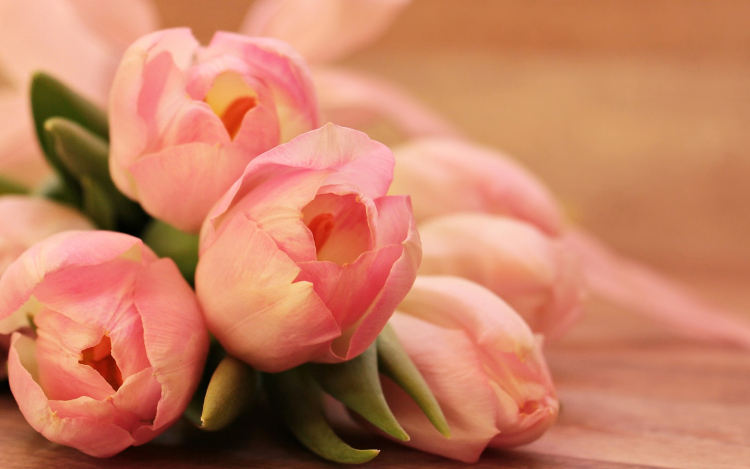 Anyák napi köszöntő