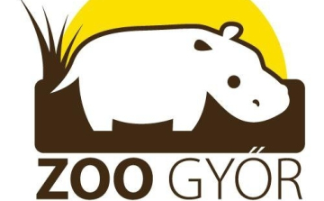 TAVASZI „BÉBIÖZÖN” A XANTUS JÁNOS ÁLLATKERTBEN.