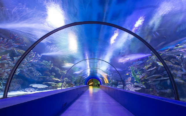 Hatvan méter hosszú alagutat építenek a horvát tengerbe