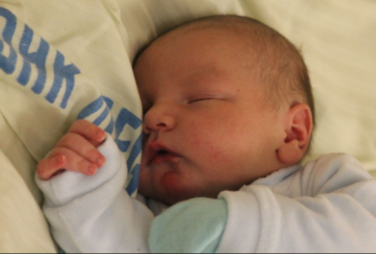 Fücsök Benjámin Dániel