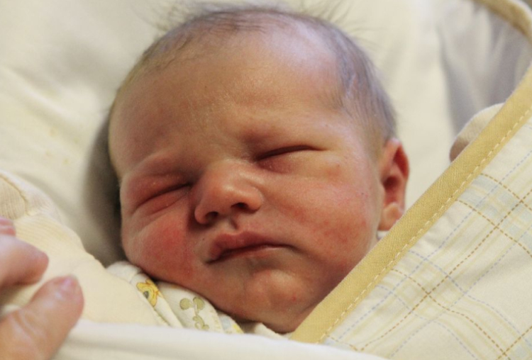 Fekete Barnabás Csaba 