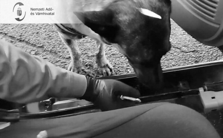 Szomorú hír érkezett: Djangótól búcsúznak a pénzügyőrök