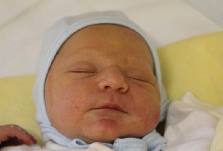 Pándi Gergely György 