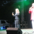 2018.08.18. Győr Augusztus 20. 1. nap Fotók:árpika