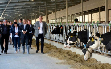 Biogázüzem épülhet a Szigetközben