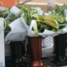 2018.05.14. Audi ETO KC ünneplése Fotók:árpika 