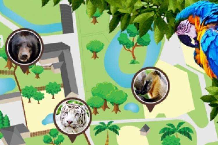 KÖZELEDIK A GYERMEKNAP! Különleges műsorral készül a győri állatkert.