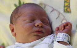 Ficzere Dániel Tamás