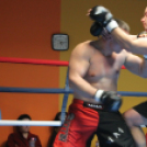 2013.02.16.Szombat Profi MMA És Box Mérkőzés Fotók:árpika