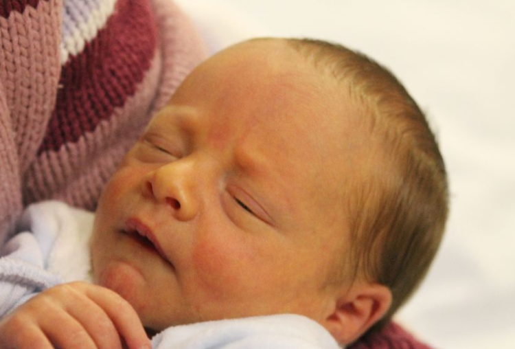 Tóth Zoltán Sándor 