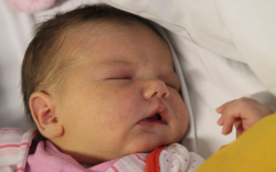 Wellesühtz-Nits Kamilla