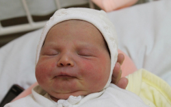 Hajdú Anna Krisztina