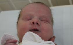 Haris László Miklós