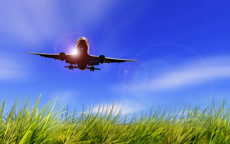 Utazómajom a Generációk Házában 