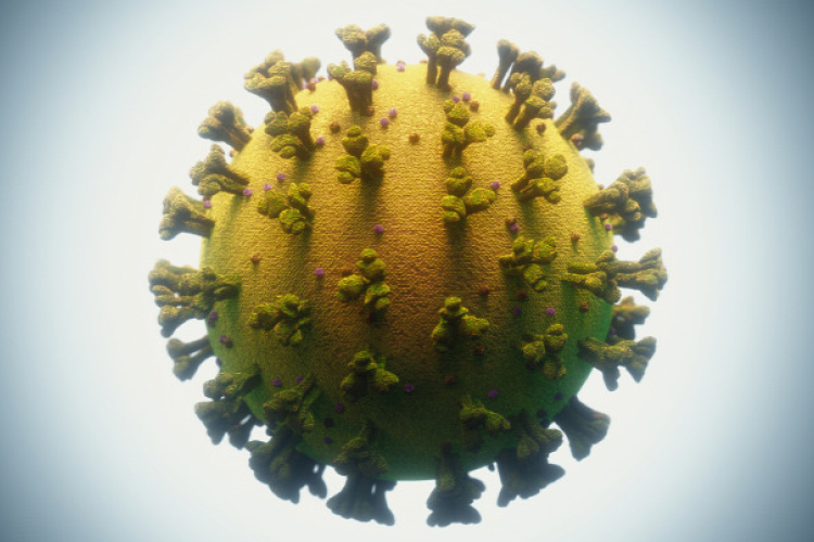 Kutatócsoport tanulmányozta a koronavírus struktúráját, így jut be a sejtekbe