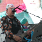 2013.06.22 Szombat SzFeszt 3.nap Fotók:árpika