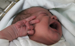 Szabó Riszella Kitti