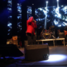 2017.10.28. Charlie 70. Születésnapi koncert Fotók:árpika 