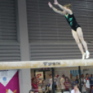 2017.07.24. EYOF 2017 Győr 1 nap Fotók:árpika 