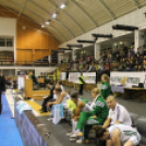 2013.02.22 Hat-Agra Uni Győr-Fenerbahce Euroliga női kosárlabda Fotók:árpika