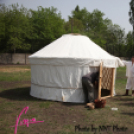 Majális feszt - Sportcsarnok megnyitó