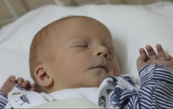 Székely Álmos Ferenc 