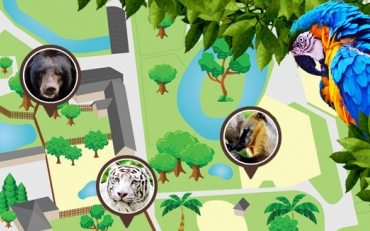 KÖZELEDIK A GYERMEKNAP! Különleges műsorral készül a győri állatkert.