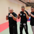 2013.02.16.Szombat Profi MMA És Box Mérkőzés Fotók:árpika