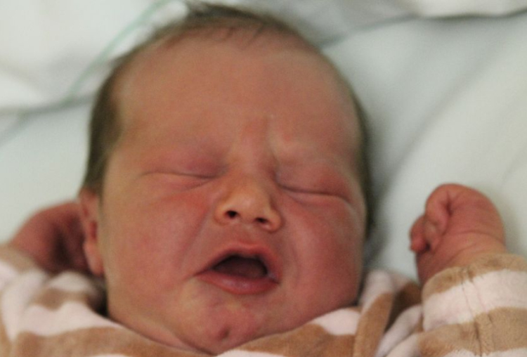 Richter Gedeon Gábor