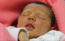 Füleki Letícía Rózsa 