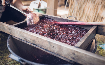 Nemzetközi Szilvalekvárfőző Versenyt rendeznek Szatmárcsekén
