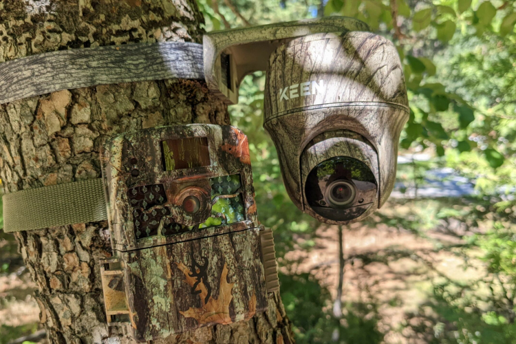 Vadkamerát szerelnének fel a szemetelők ellen