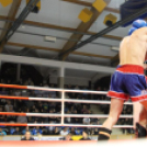 2013.03.31 Szombat IV.KOKO-GYM Küzdősport gála (1) fotók:árpika