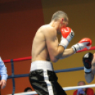 2013.02.16.Szombat Profi MMA És Box Mérkőzés Fotók:árpika