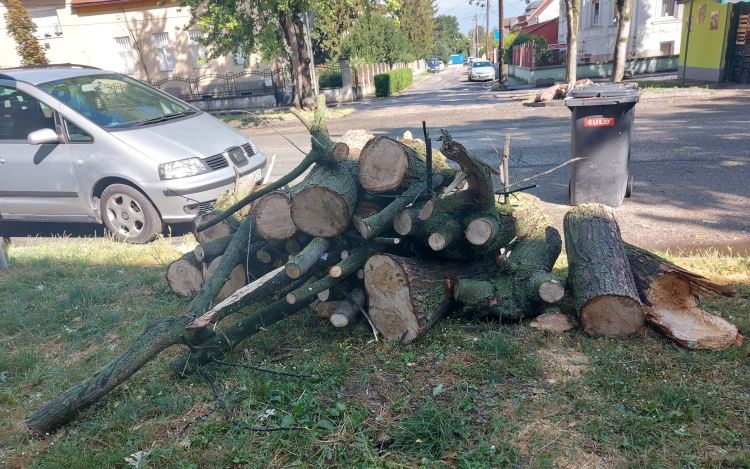 Tarolt a vihar Győrben
