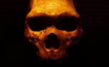 Egészen különleges ok ölte meg a neandervölgyi embereket