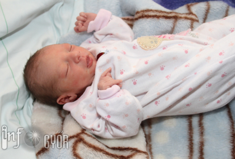 Rónaszéki Rajmund Roland