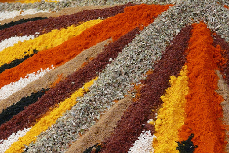 Táplálkozási tanácsok Novák Pétertől-24. rész: „Az ízek száma végtelen”