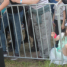 2017.05.14. Szentiváni Fesztivál 3.nap Caramel Fotók:árpika 