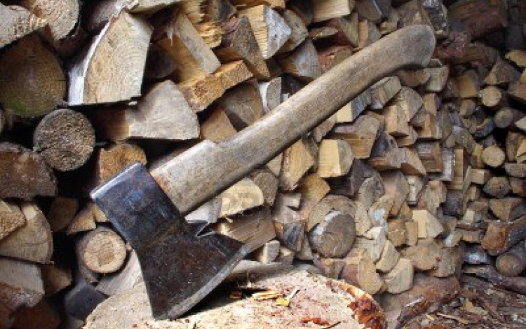 Eladta az interneten más fáit