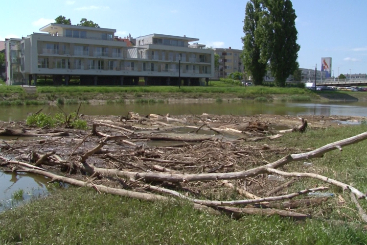 Uszadékfa torlaszolja el a Rábát