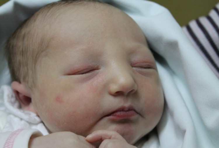 Hergenrőder Jázmin