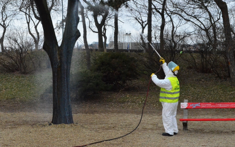 Növényvédelmi munkák Győrben