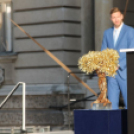 2017.05.24.EYOF Lángfogadó Ünnepség Győr Fotók:árpika 