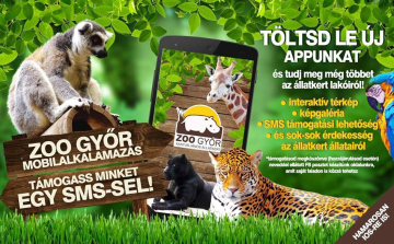 Az állatkertek éjszakáján érdekes programok várják a látogatókat a győri állatkertben