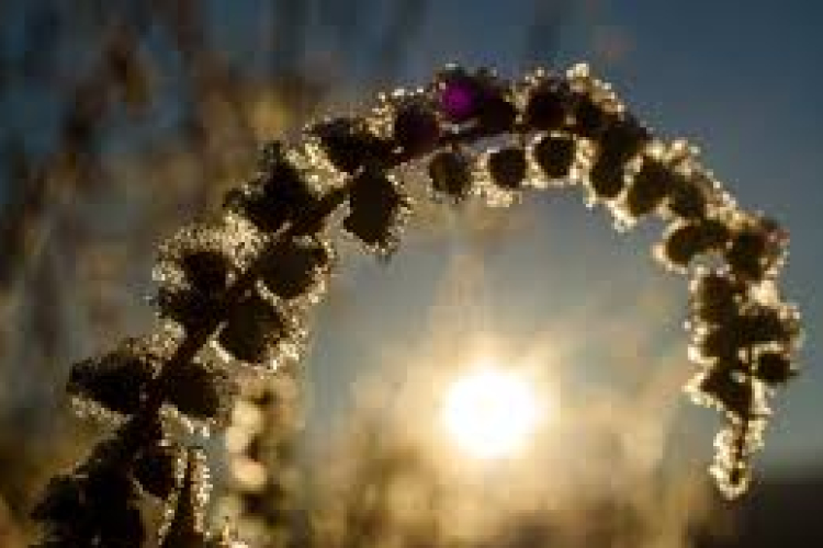 Nyári meleggel köszönt be a november