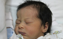 Orsós Mercédesz Beatrix